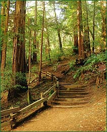 Entrance to the Panoramic Highway Trail